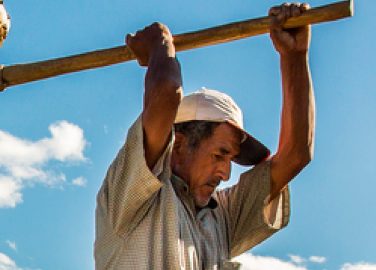 La salud músculo esquelética está en nuestras manos (afiche, versión 8)