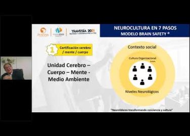 ¿Cómo implementar la neurocultura en solo 7 pasos?